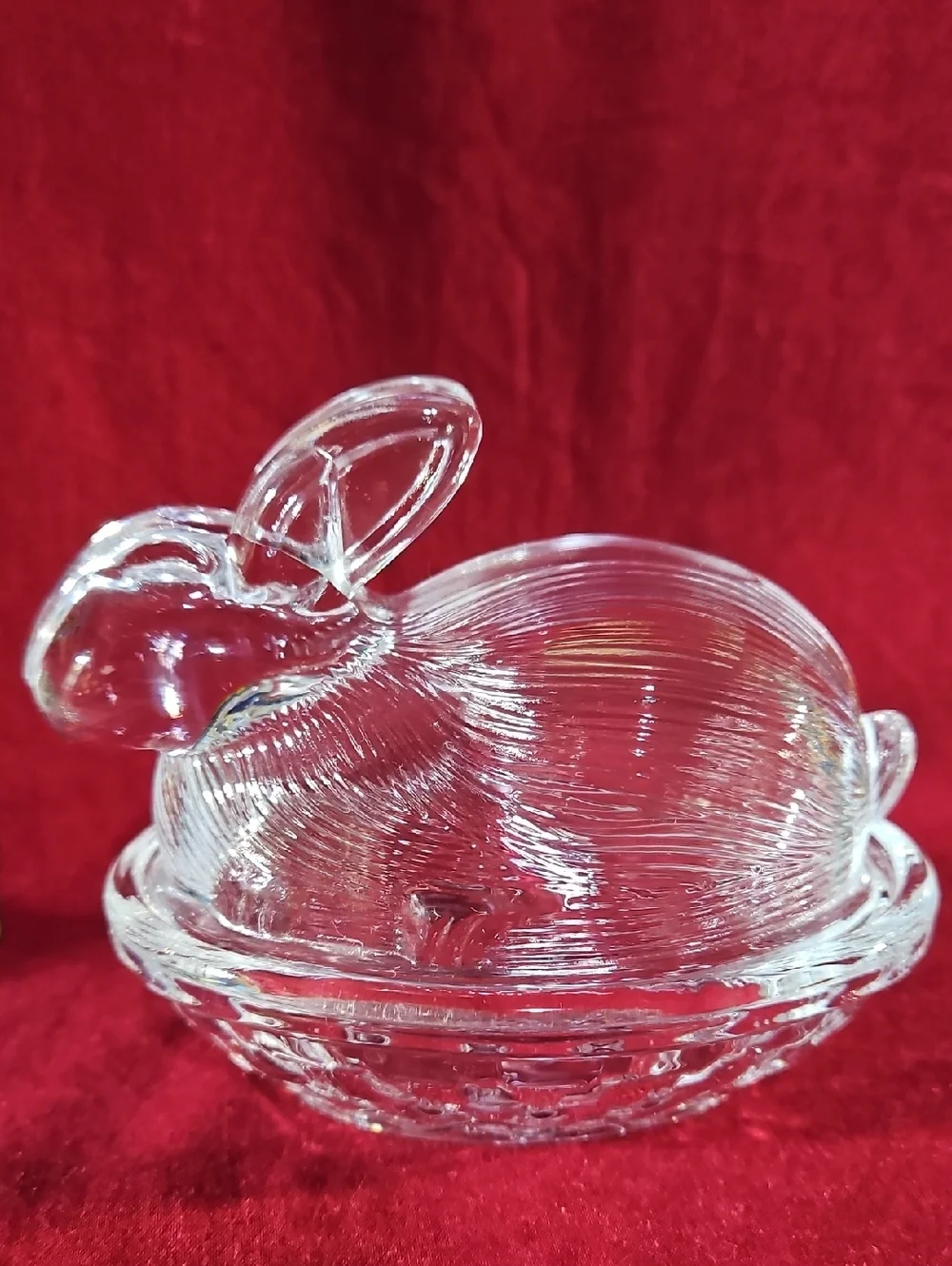 Adorable Bunny Rabbit Lid Nestled Atop A Basket Weave Nest
